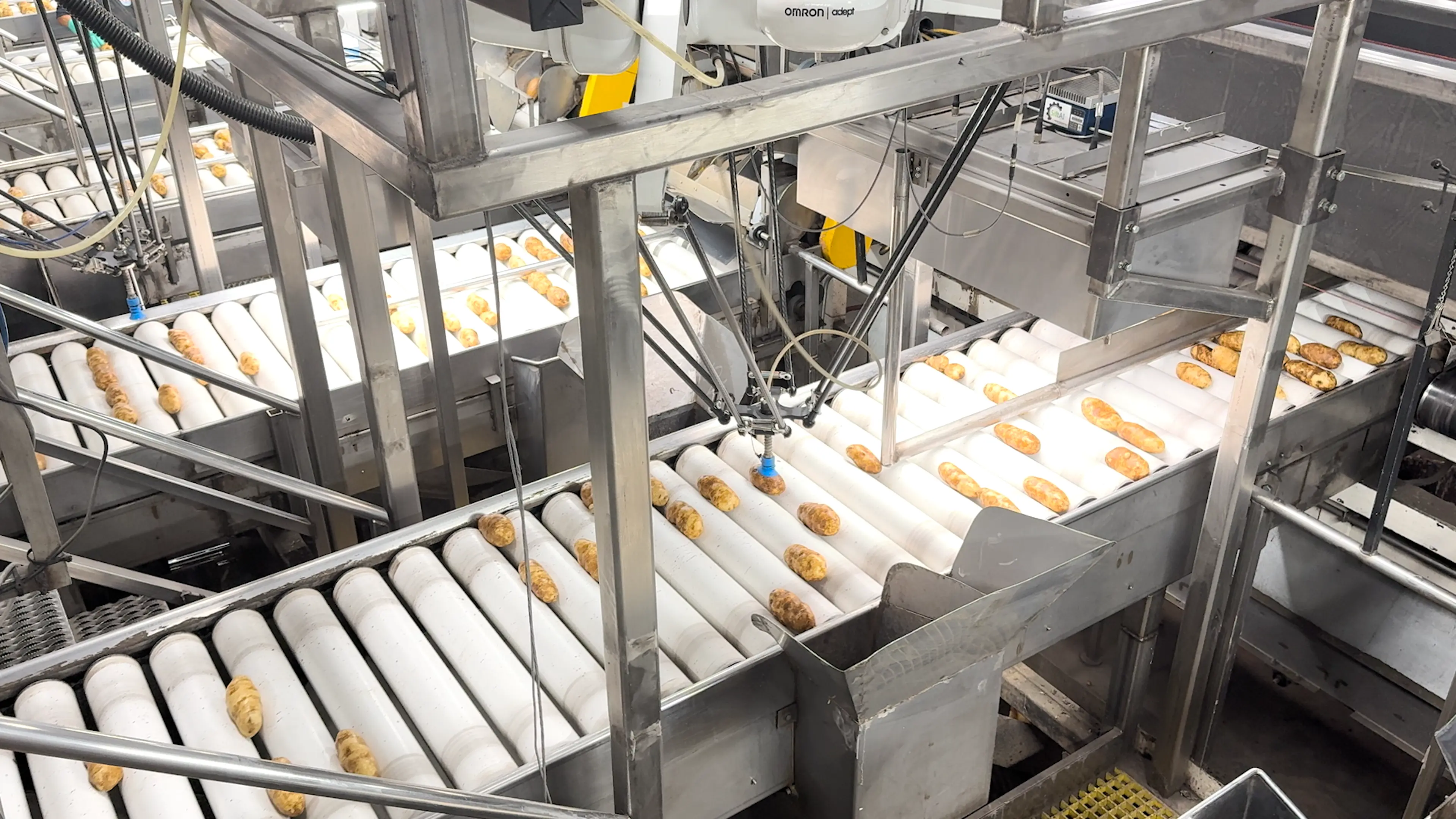 SiftAI® Robotic Sorter for Potatoes